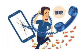 南部南部的要账公司在催收过程中的策略和技巧有哪些？